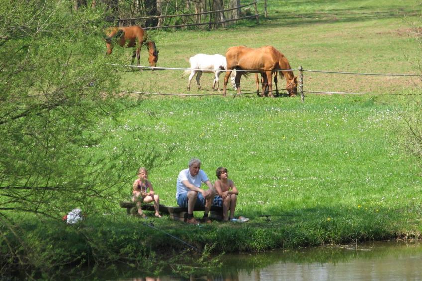 mit Terrasse - foto 19