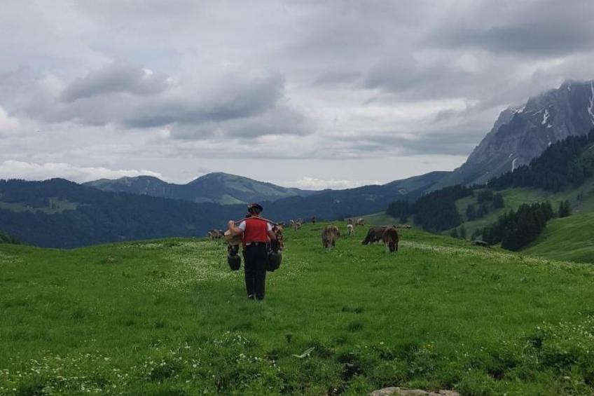 Ferien im Gugger - Wohnung Churfirsten - foto 28