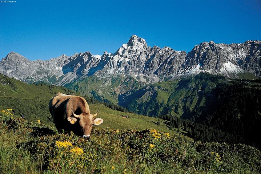 Luxurious Montafon Chalet XL 1 - foto 31