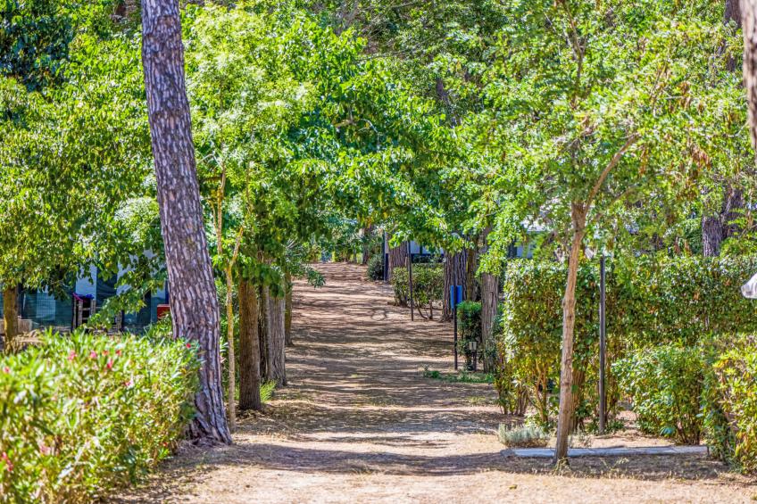 Costa D'Argento - foto 37