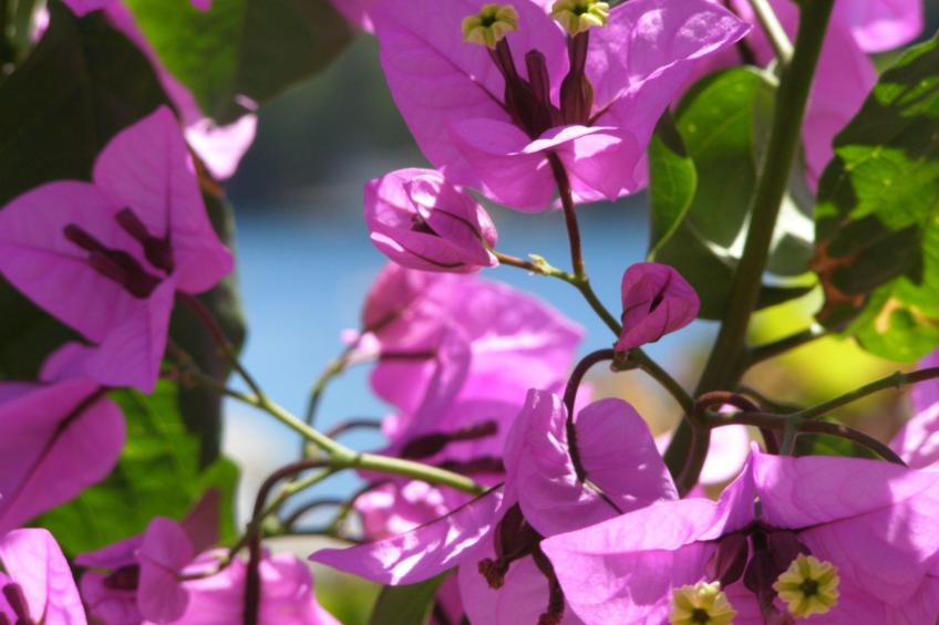 Wohnung mit zwei Schlafzimmern, direkt am Meer - foto 11