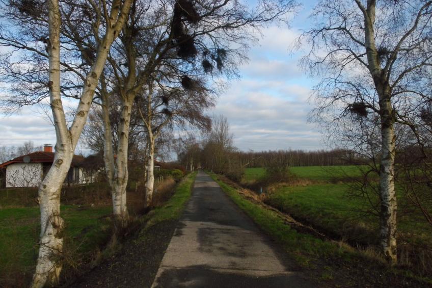 in Sehestedt mit Garten - foto 12