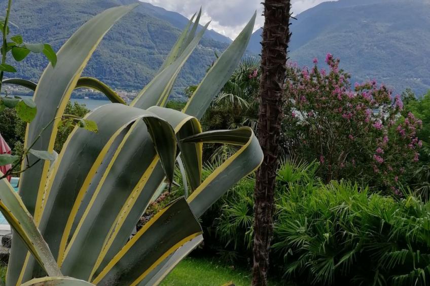 Casa Tornina - foto 22