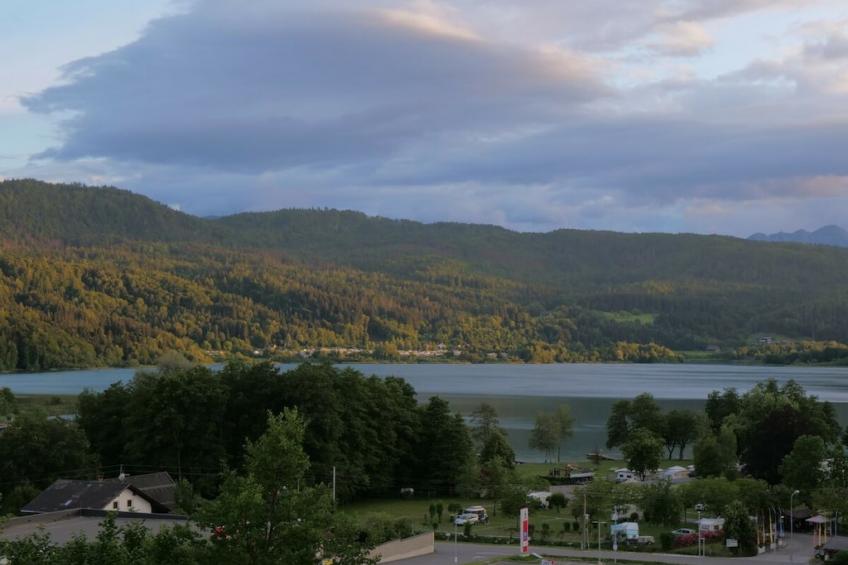 264828 - foto 32