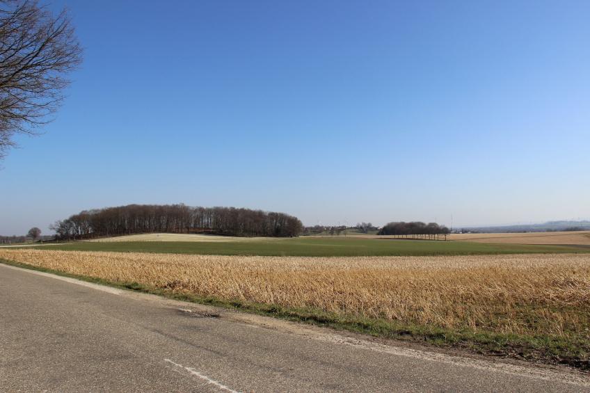 Bernardushoeve - NR15 - foto 37