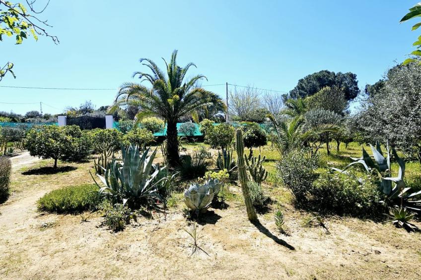 Landhaus Villa Moral - foto 42