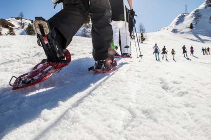 Le Britania - foto 28