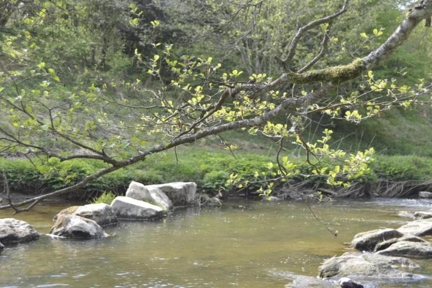 La Source des Bois - foto 31