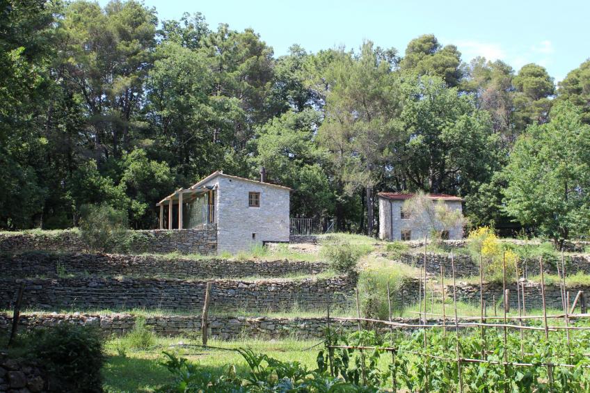 Mago in Ameglia - foto 29