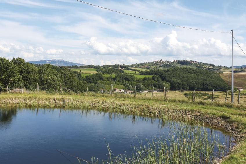 Agriturismo La Cerretella (TER105) - foto 18