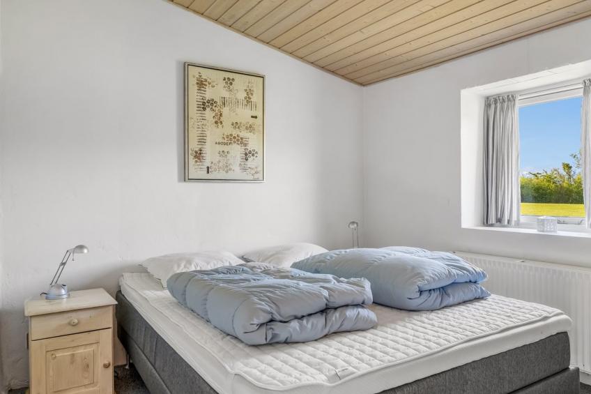 "Kara" - 100m to the inlet in The Liim Fiord - foto 8