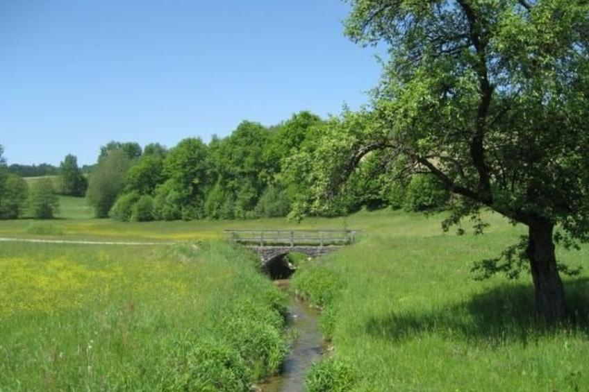 in Röhrnbach mit Grill und Terrasse - foto 20