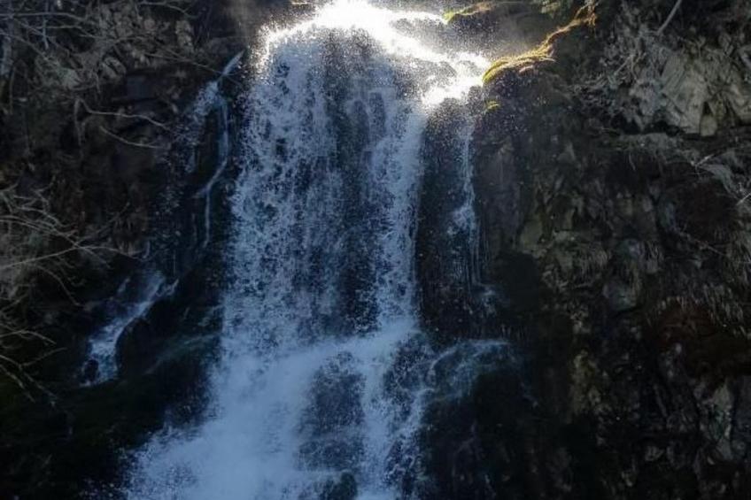 Kolibri Hochparterre - foto 22