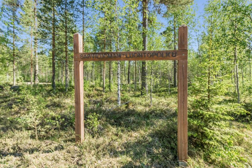 Lauhanlinna - foto 30