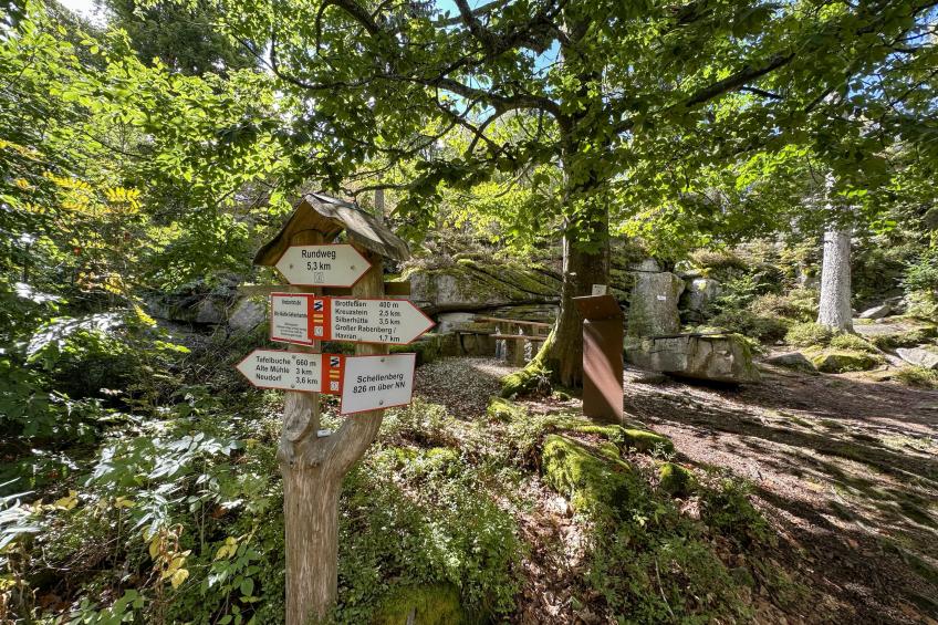 Rehberg Hütte - foto 30