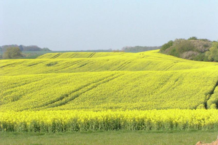 "Gartenblick" bei Gerdshagen - foto 23