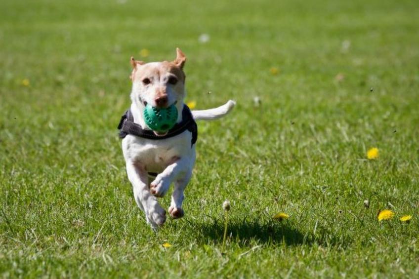Chalet Mon Sousou Nendaz 4 Vallées - foto 21