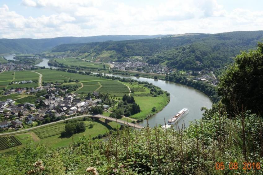 Tolle Wohnung in Klüsserath mit Großem Garten - foto 25