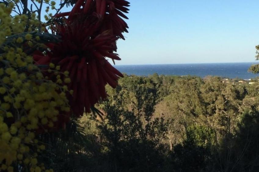 Villa Belle Vue, direkt am Meer, 1-2 Haustiere erlaubt - foto 23