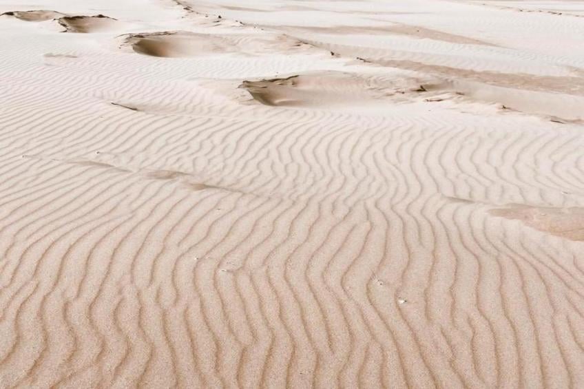 Bungalowpark de Gouden Spar - foto 32