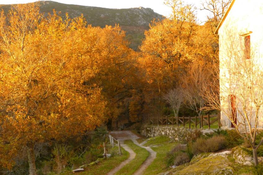 Finca "Casa do Portomartiño" - foto 29