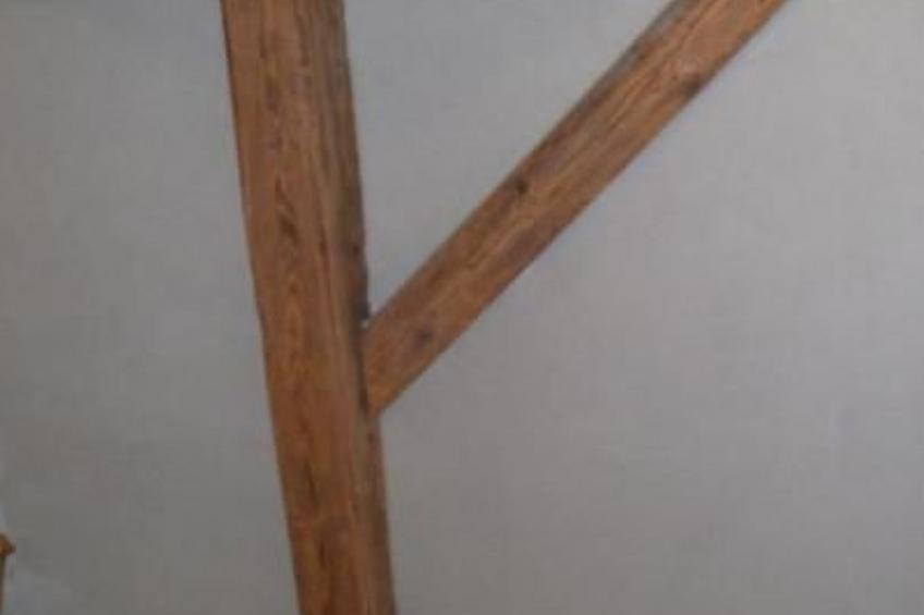 Schloß" Wildenstein" - foto 29