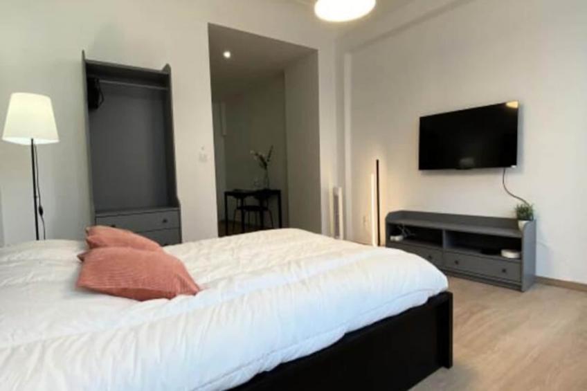 Le 101 Beffroi - foto 17