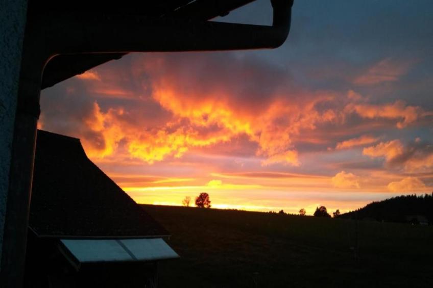 Helmut Epting - foto 35