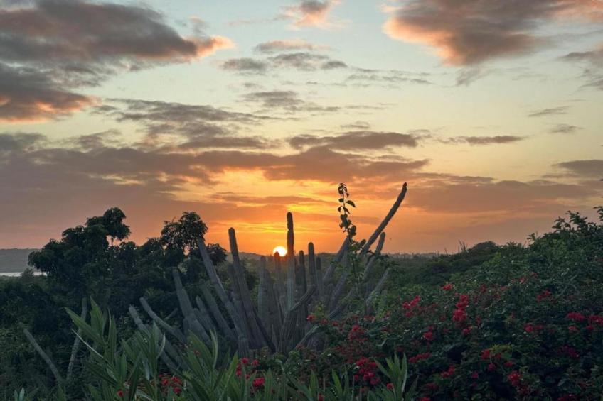 Villa Kas Krioyo - Boca Gentil - foto 39