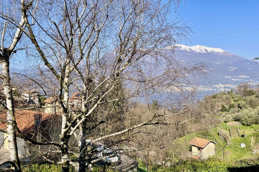 Nel Castagneto - foto 23