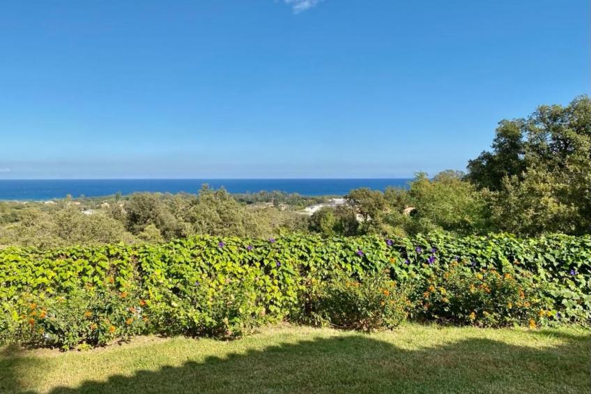 Weingut Punta della Guardia Panorama von Macchia und Meer - foto 18