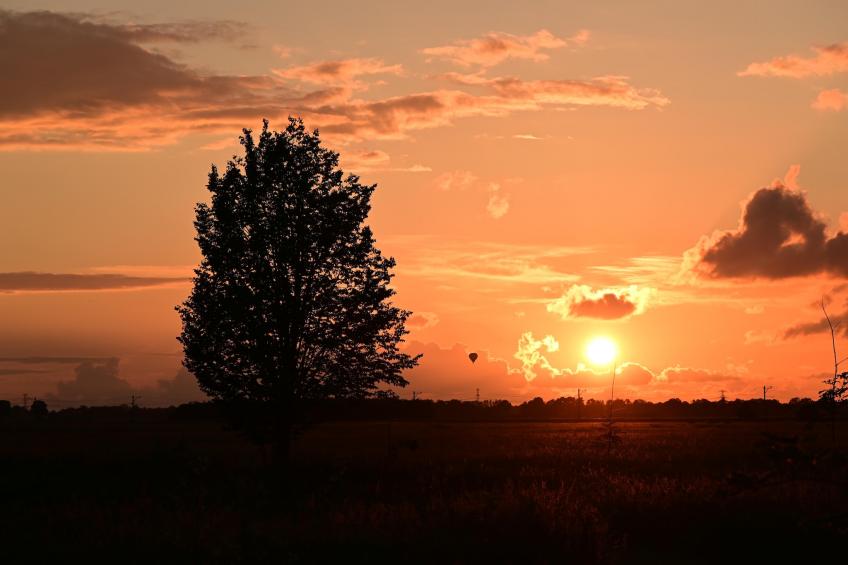 Vogelspotlodge Scholekster - foto 25