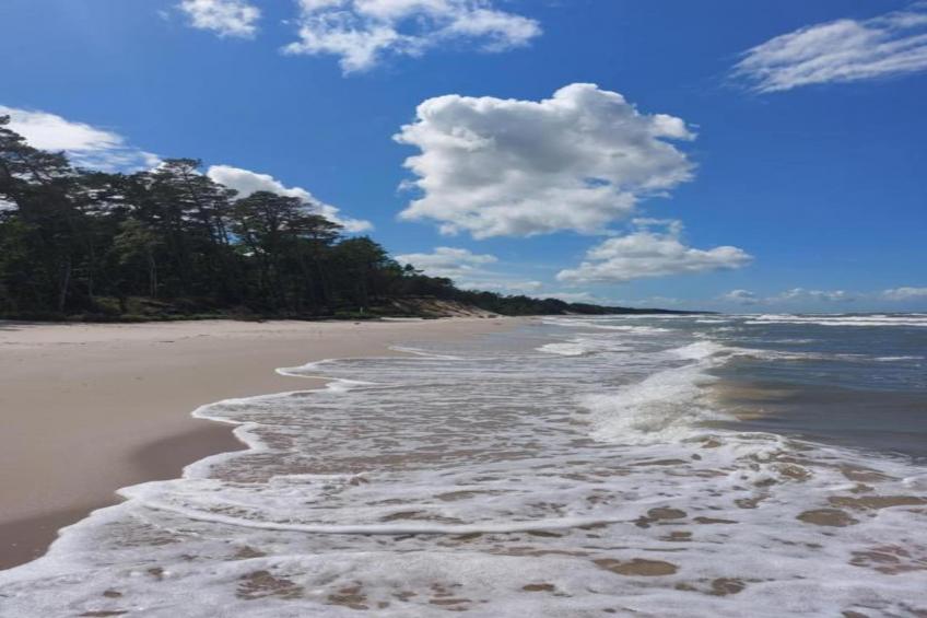 Willa Karwińskie Błota - foto 38