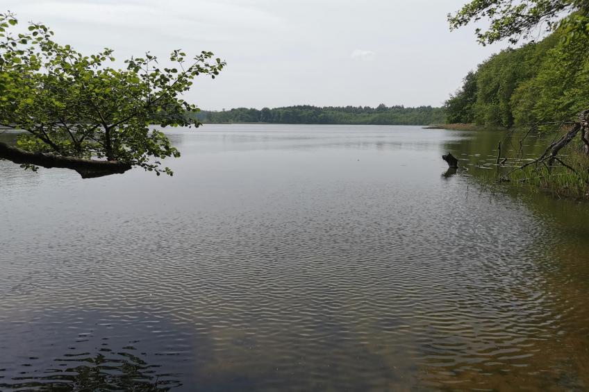 Marina Apartment 2 Bedroom - foto 32