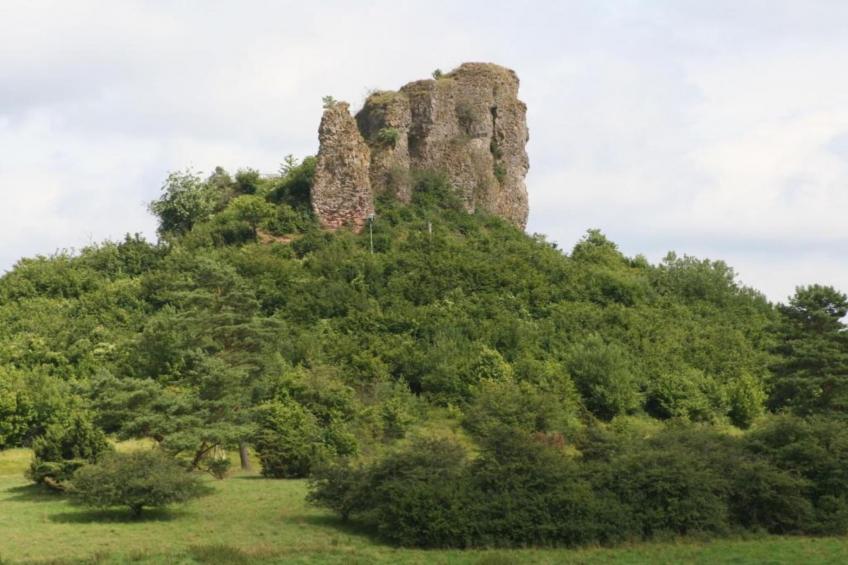Waldferienpark Gerolstein 1 - foto 32