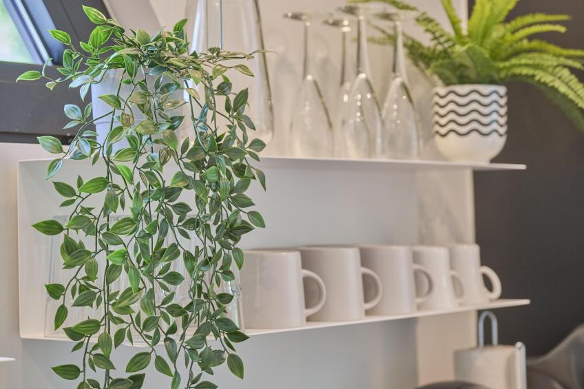 De Eekhoorn - foto 29