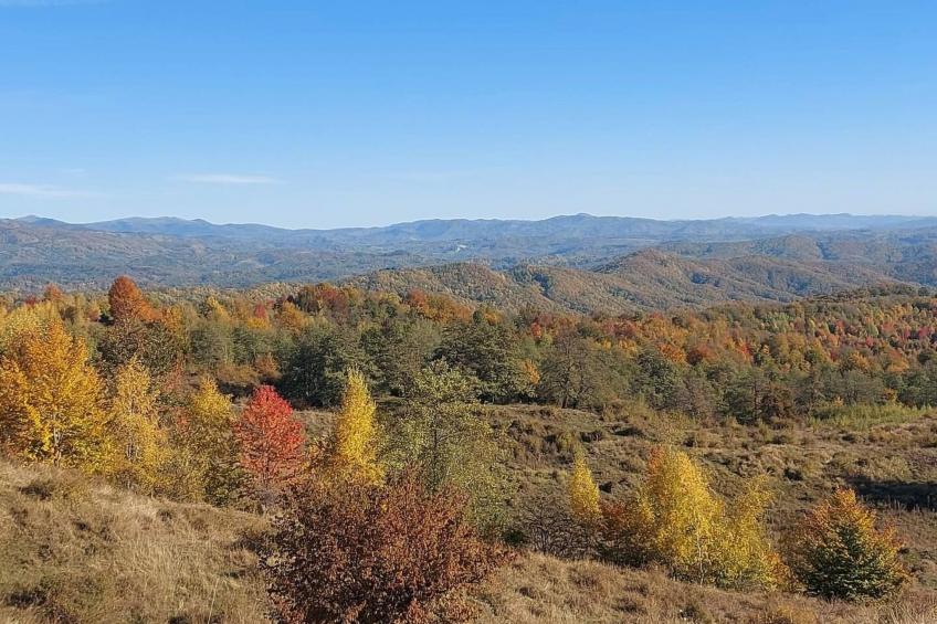 Berghütte "Pumbaa House" mit eigenem 'Pool' - foto 27