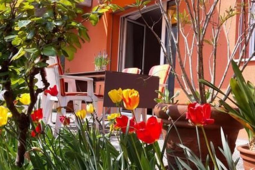 Al Colombajo - foto 4