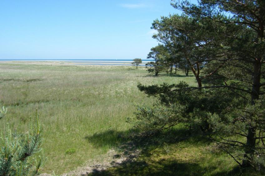 Admiral's Corner Luv - foto 36