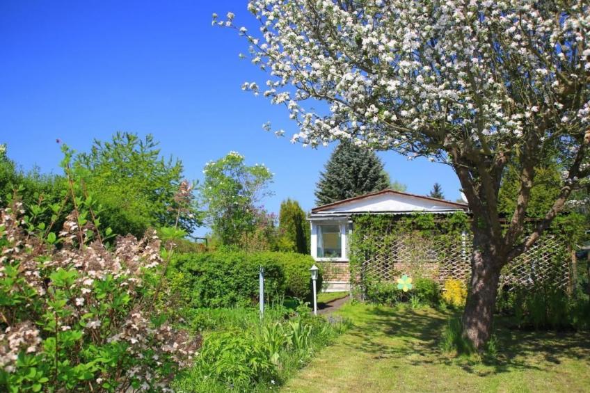 in Storkow mit Schönem Garten - foto 7