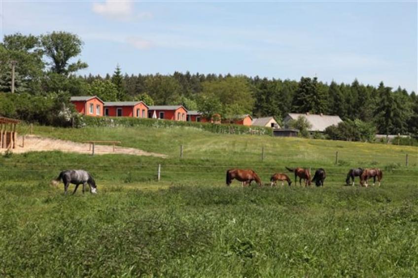 Ferienhäuser Inselblick / Ferienhaus 4 60 qm