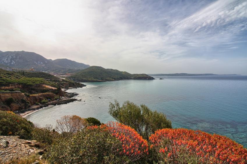 1 Ala Birdi Cottage 150m From The Beach - foto 36