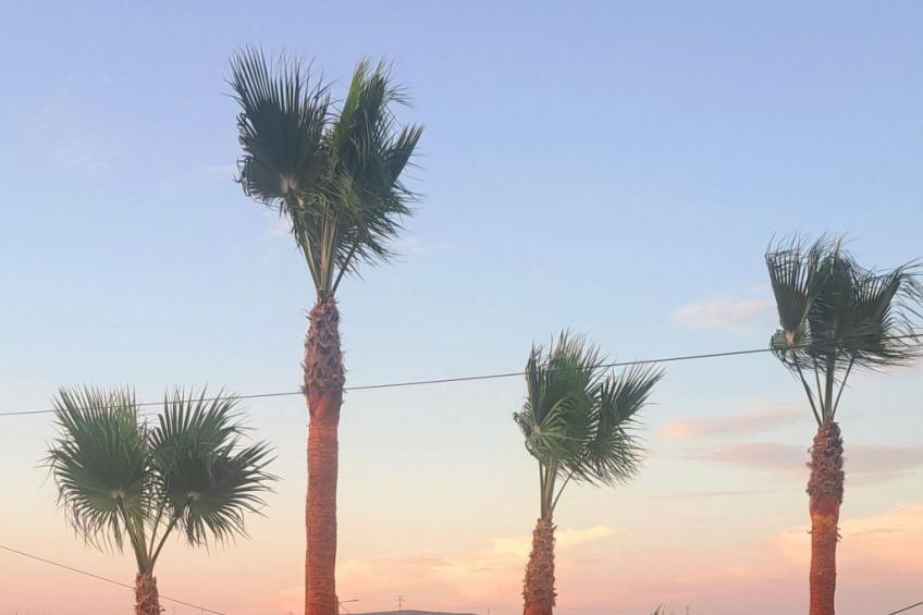 Stilvolles Landhaus an der Algarve - foto 6