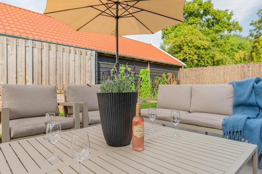 Villa Zilte Duinen - foto 63