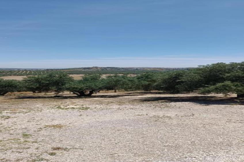 piso confortable en Montilla - foto 20