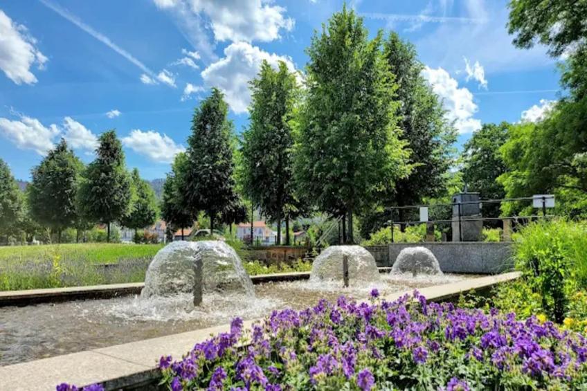 Haus Buchberg - foto 25