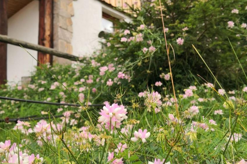 Almhütte Enzian - foto 27