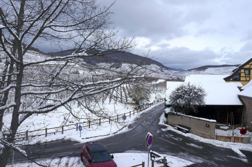 2ed-Face Vosges,im Süden,Herz Weinberg,Ruhig,WiFi - foto 31