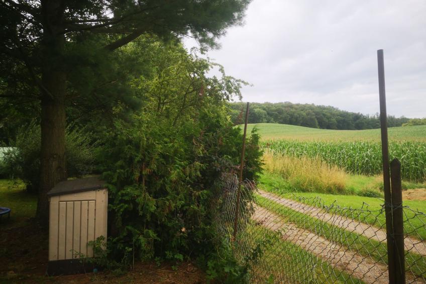Landurlaub Mecklenburgische Seenplatte b. Waren Müritz - foto 23
