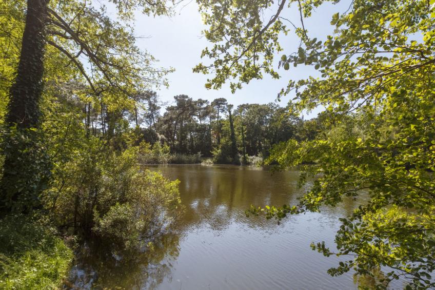 Parc de la Résidence - foto 48